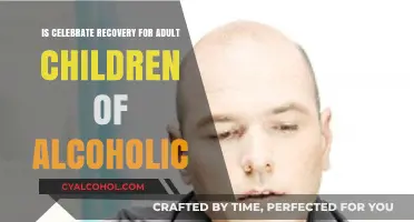Healing from Alcoholic Parents: Celebrate Recovery Support