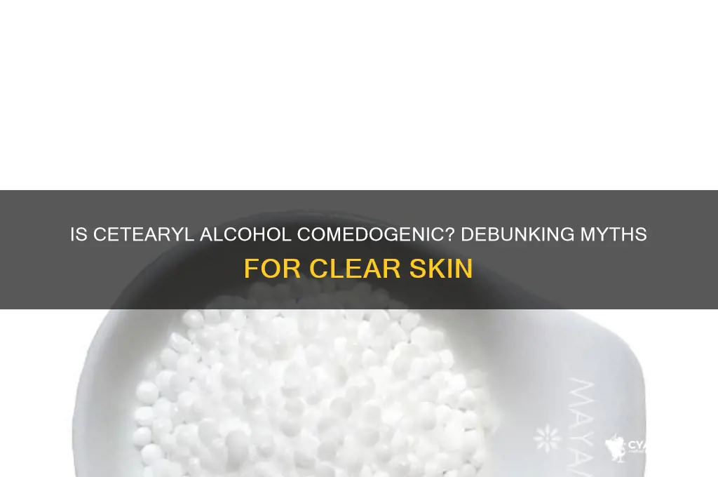 is cetearyl alcohol comedogenic