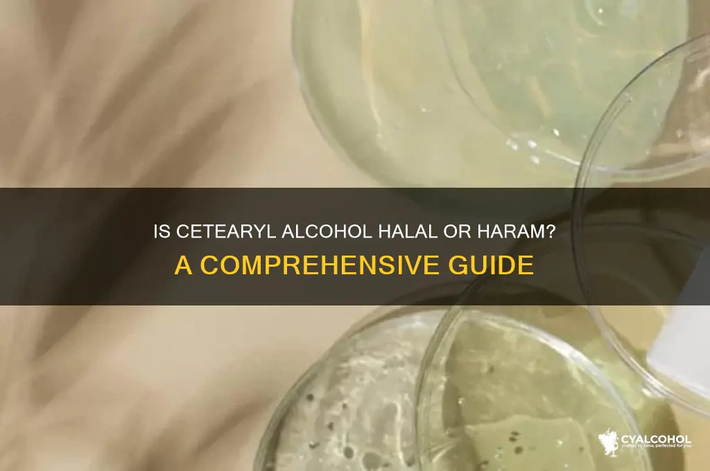is cetearyl alcohol halal or haram
