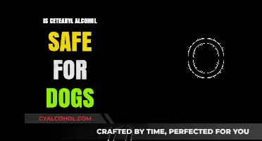 Is Cetearyl Alcohol Safe for Dogs? A Comprehensive Guide