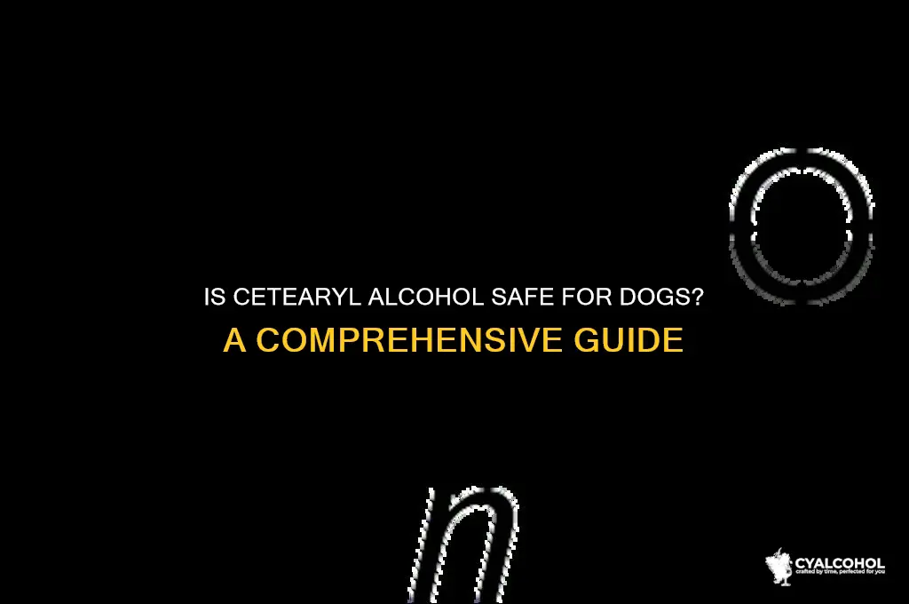 is cetearyl alcohol safe for dogs