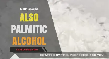 Cetyl Alcohol vs. Palmitic Alcohol: Are They the Same Ingredient?