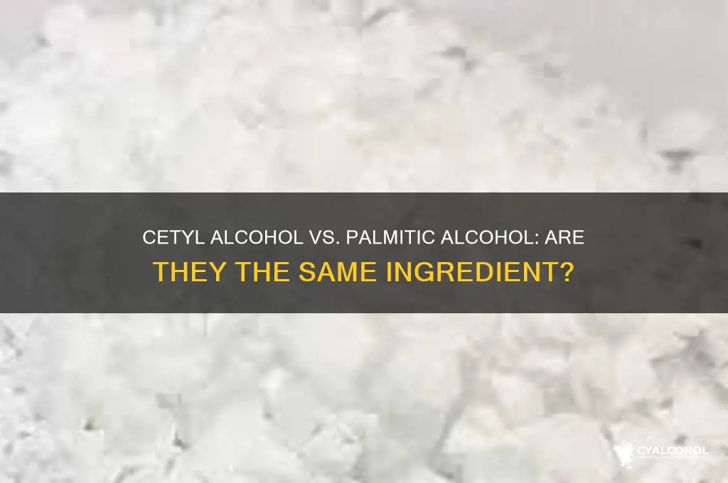 is cetyl alcohol also palmitic alcohol