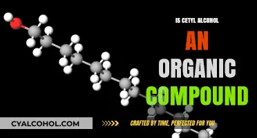 Is Cetyl Alcohol Organic? Exploring Its Chemical Nature and Origins