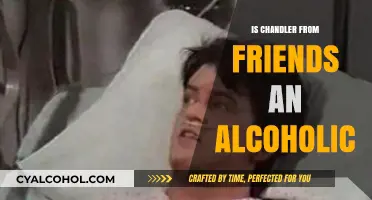 Is Chandler Bing's Drinking on Friends a Sign of Alcoholism?