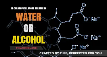 Chlorophyll Solubility: Water vs Alcohol