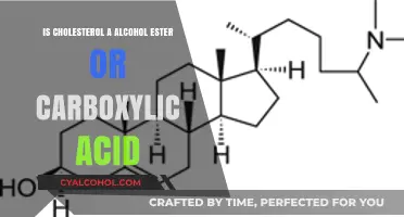 Cholesterol's True Nature: Alcohol Ester or Carboxylic Acid?