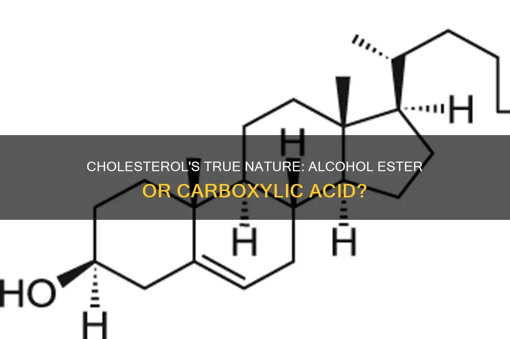 is cholesterol a alcohol ester or carboxylic acid
