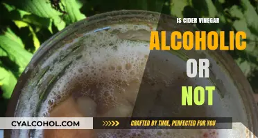 Is Cider Vinegar Alcoholic? Unraveling the Fermentation Mystery