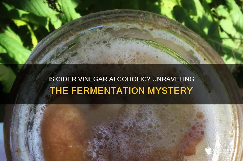 is cider vinegar alcoholic or not