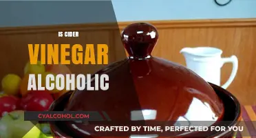 Is Cider Vinegar Alcoholic? Unraveling the Fermentation Mystery