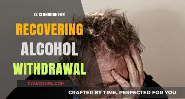 Clonidine for Alcohol Withdrawal Recovery: Benefits, Risks, and Effectiveness