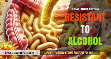 Is Clostridium Difficile Resistant to Alcohol? Uncovering the Truth