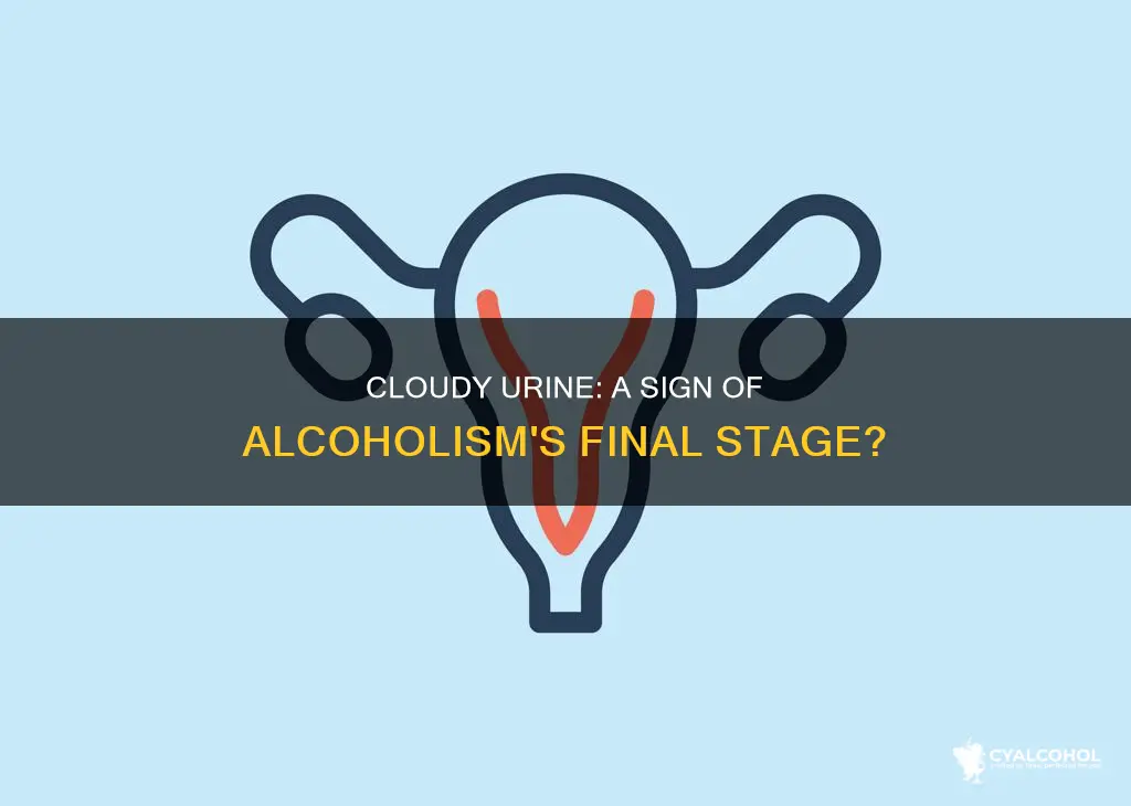 is cloudy urine a symptom of end stage alcoholism