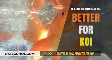 Clove Oil and Alcohol: A Safe Koi Treatment?