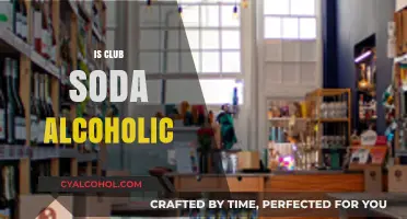 Is Club Soda Alcoholic? Unraveling the Truth Behind the Bubbles