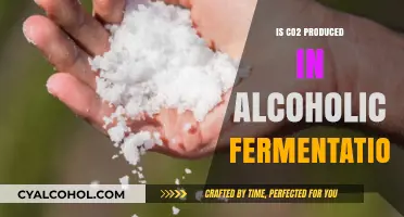 CO2 Production in Alcoholic Fermentation: Unveiling the Chemical Process