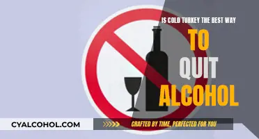 Cold Turkey Method: Best Way to Quit Alcohol?