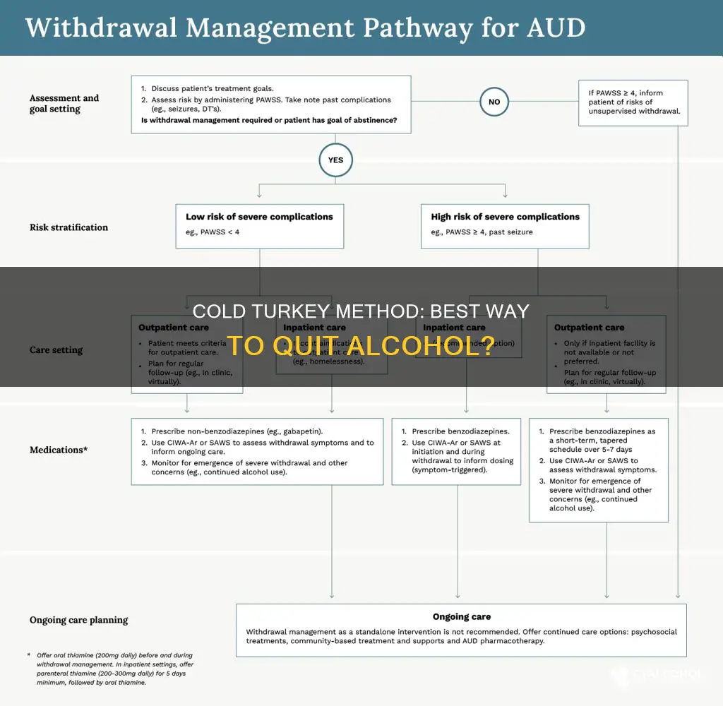 is cold turkey the best way to quit alcohol