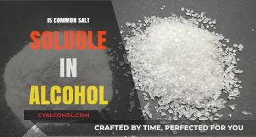 Does Common Salt Dissolve in Alcohol? Exploring Solubility in Ethanol