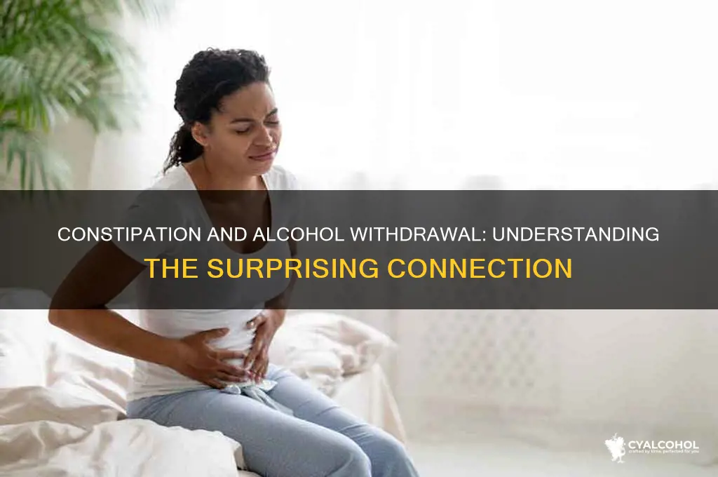 is constipatuon part of alcohol withdrawls
