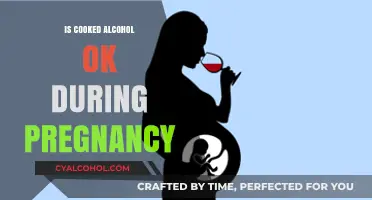 Cooked Alcohol in Pregnancy: Safe or Risky? Expert Insights