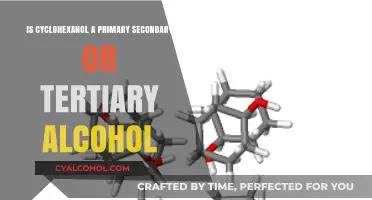 Cyclohexanol Classification: Primary, Secondary, or Tertiary Alcohol?