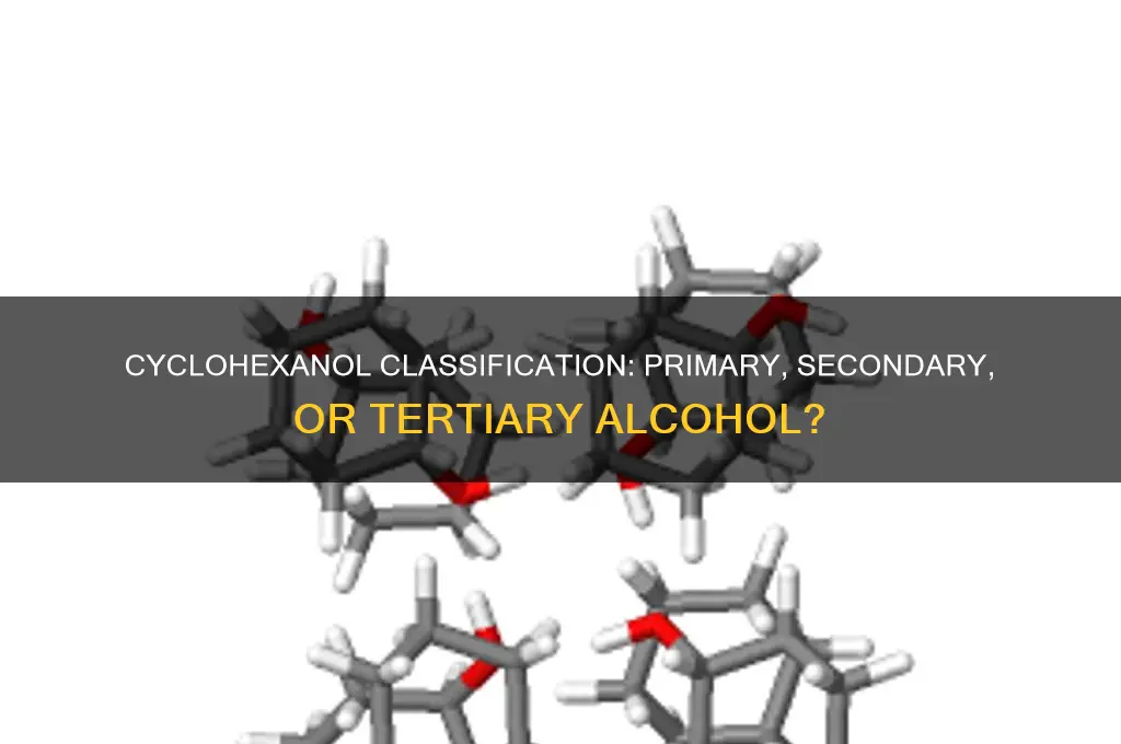 is cyclohexanol a primary secondary or tertiary alcohol