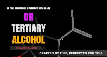 What Type of Alcohol is Cyclopentanol?