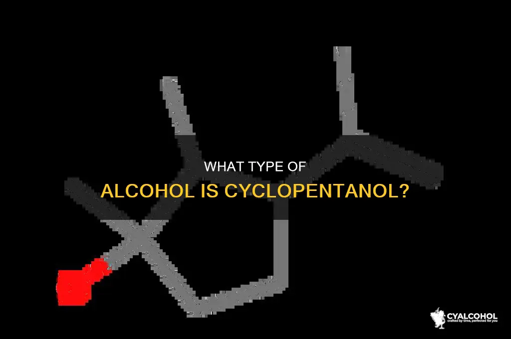 is cyclopentanol a primary secondary or tertiary alcohol