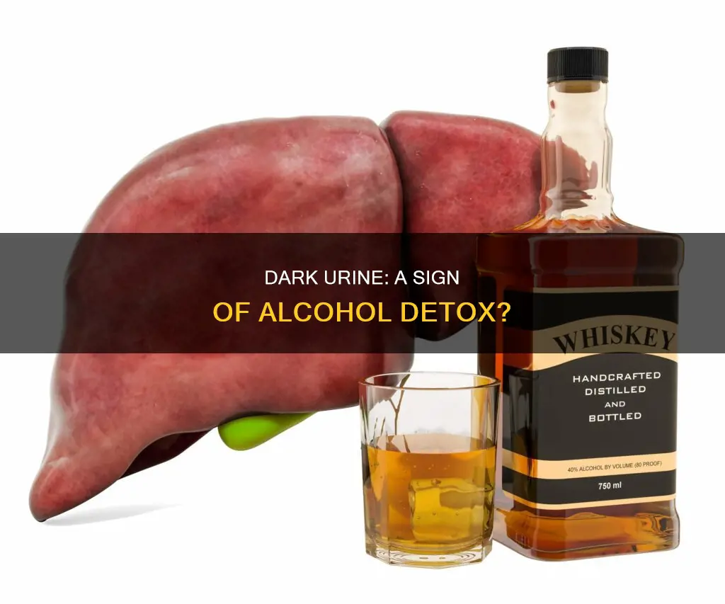 is dark colored urine typically when you