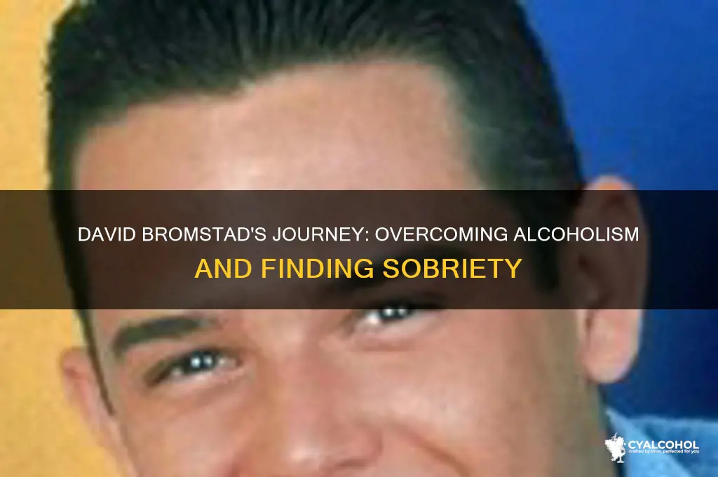 is david bromstad a recovering alcoholic