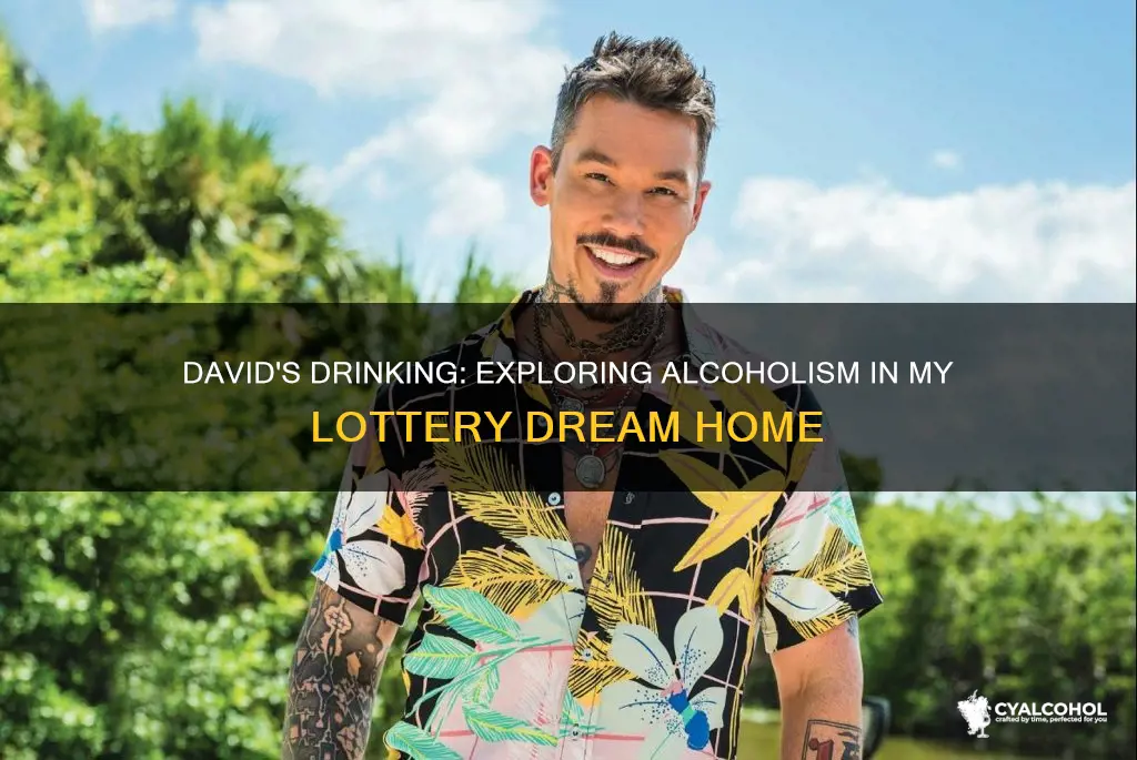 is david from my lottery dream home an alcoholic