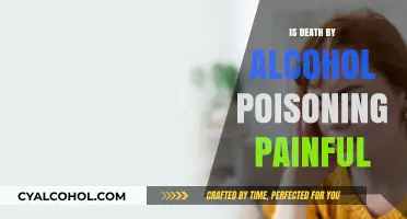 Alcohol Poisoning: Understanding the Painful Reality of a Fatal Overdose