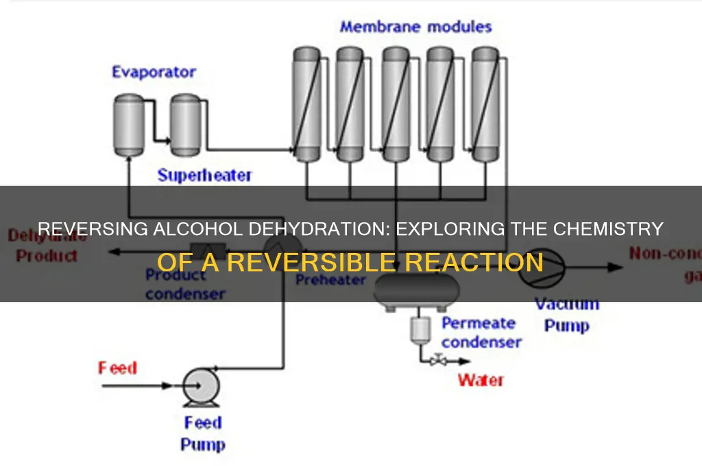 is dehydration of alcohol reversible reaction