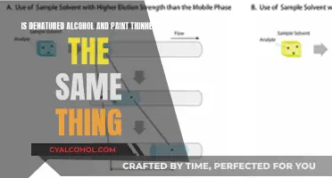 Alcohol vs Paint Thinner: What's the Difference?