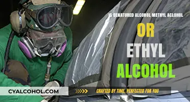 Denatured Alcohol: Methyl or Ethyl?