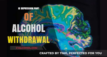 Depression and Alcohol Withdrawal: Understanding the Complex Connection