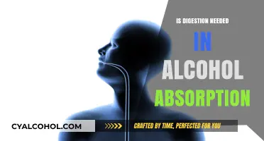 Understanding Alcohol Absorption: The Role of Digestion Explained