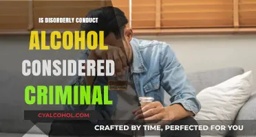 Is Disorderly Conduct Alcohol-Related a Criminal Offense?