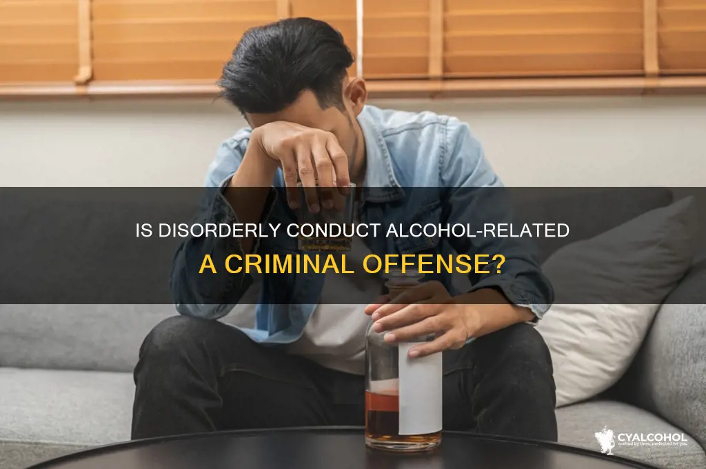 is disorderly conduct alcohol considered criminal