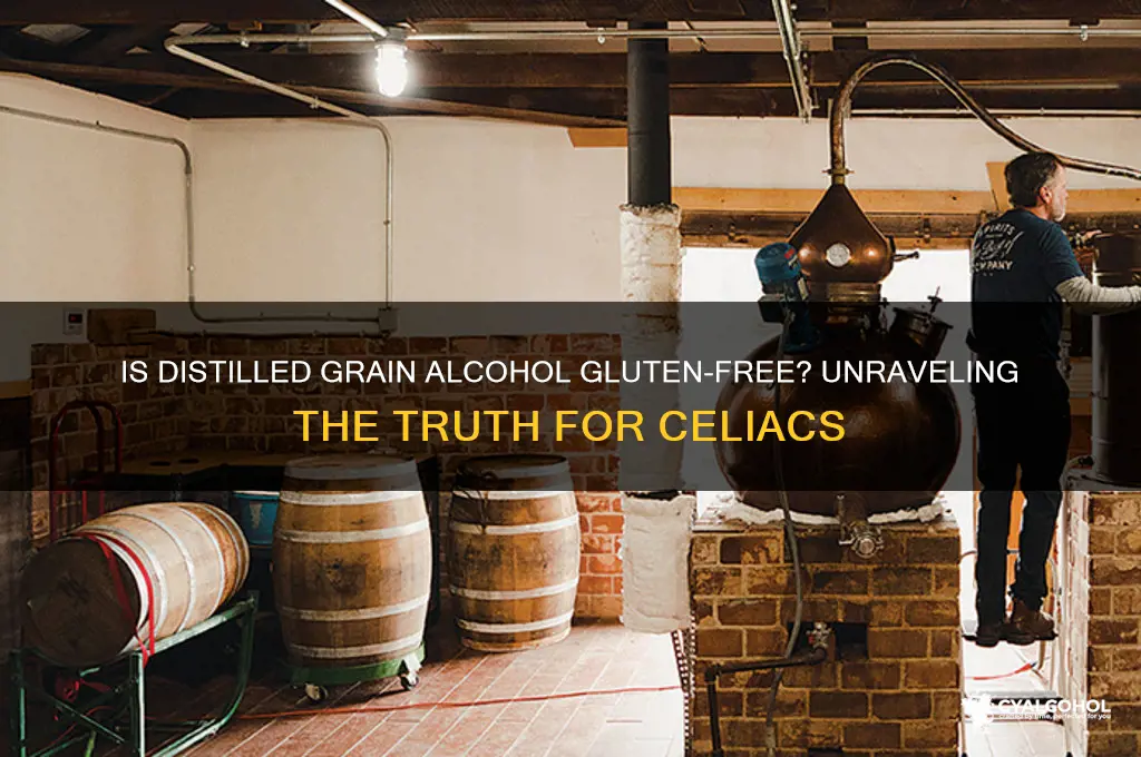 is distilled grain alcohol gluten free