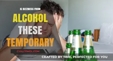Is Alcohol-Induced Dizziness Temporary? Understanding the Effects and Risks