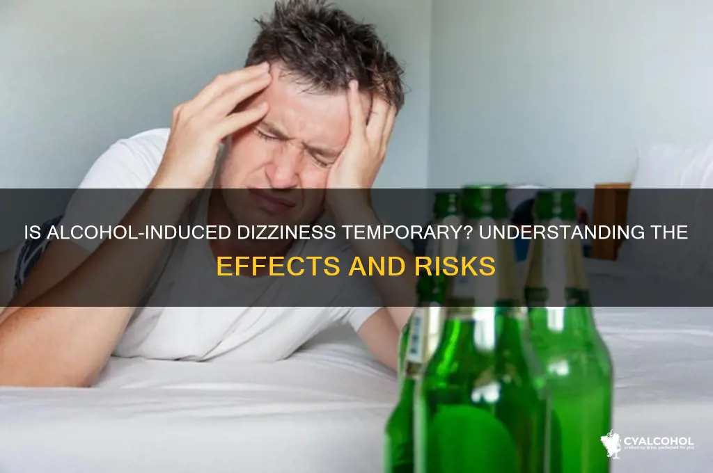 is dizziness from alcohol these temporary