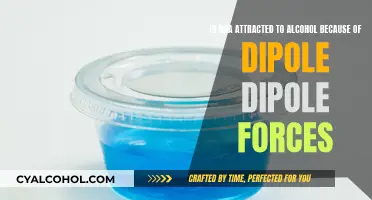 How Alcohol Attracts DNA: Dipole-Dipole Forces Explained