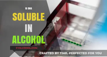 Is DNA Soluble in Alcohol? Exploring the Science Behind It