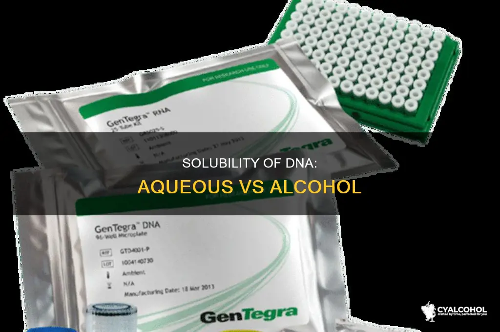 is dna soluble in aqueous solution or alcohol