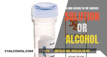 Solubility of DNA: Aqueous vs Alcohol