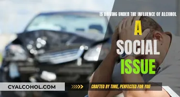 Alcohol-Impaired Driving: A Social Issue?