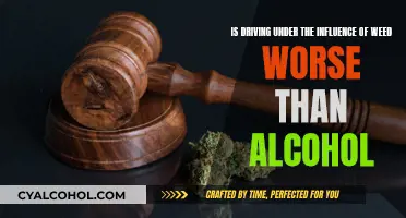 Weed vs Alcohol: Which Impairs Driving More?